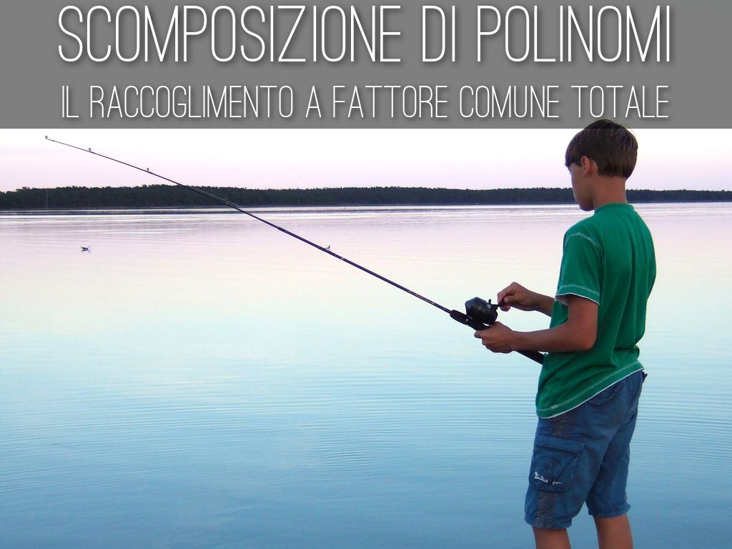 Scomposizione di polinomi by g2.zef