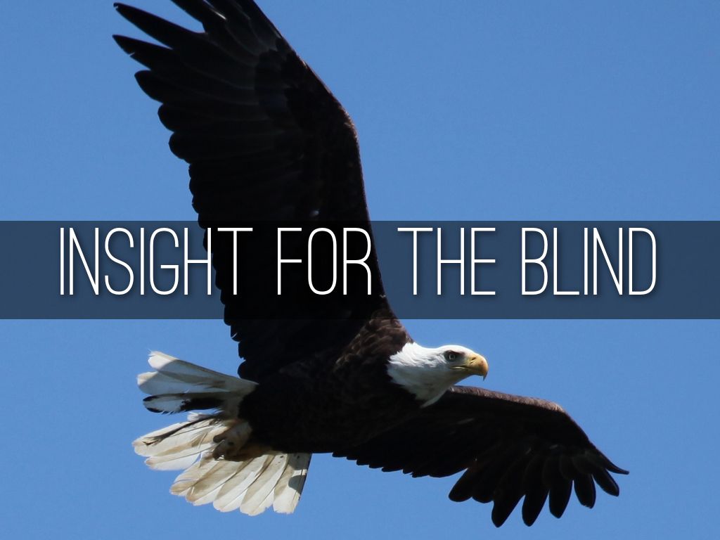Copy of Insight for the Blind