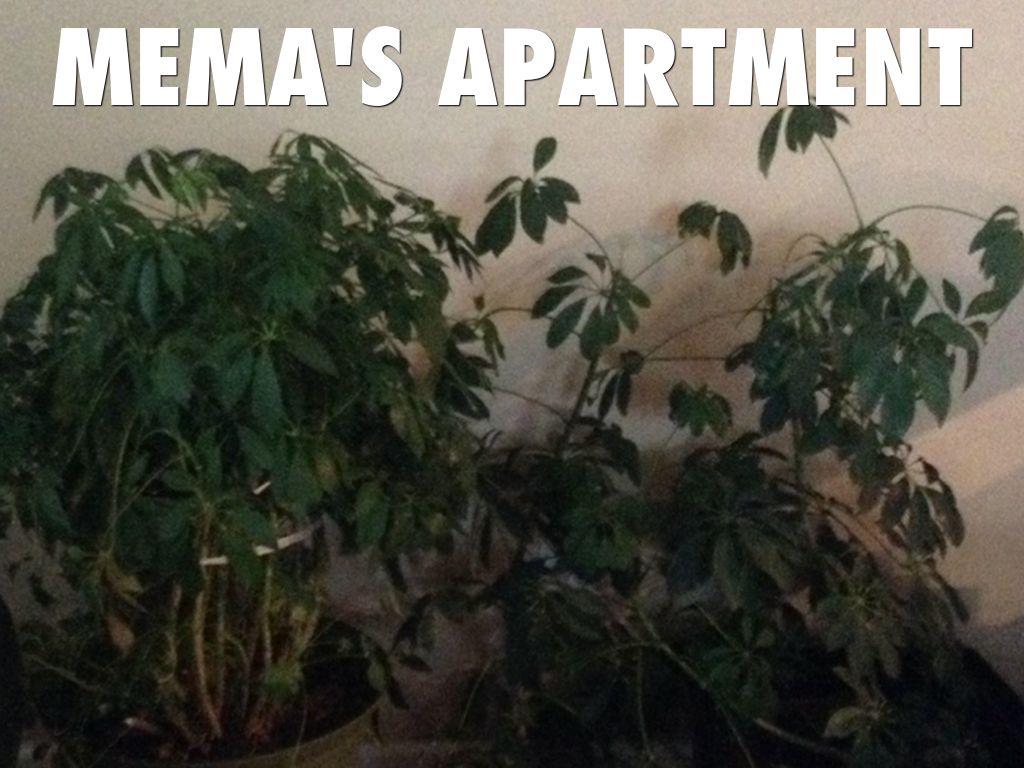 Mema's Apartment
