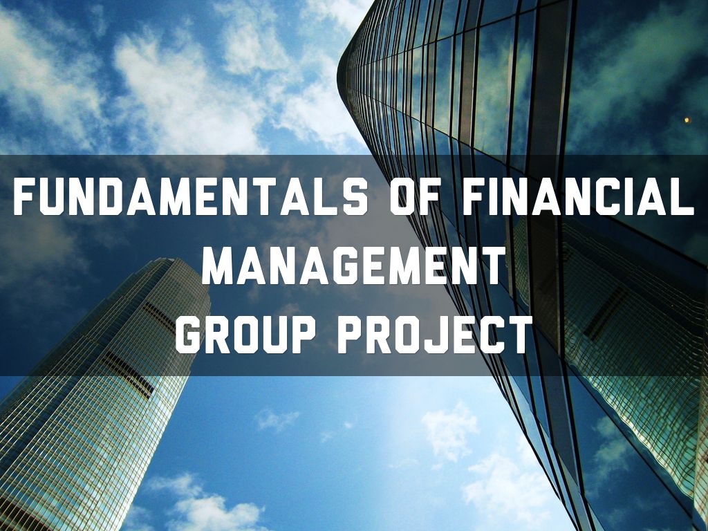 Fundamentals of financial management group project