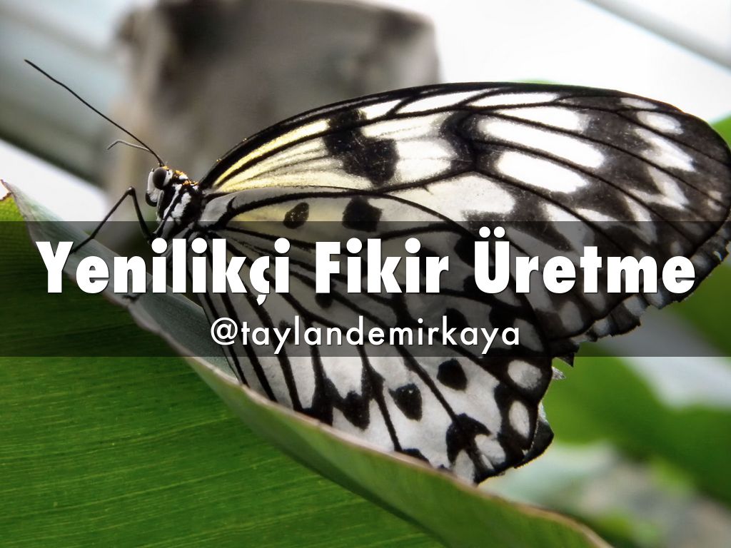 Yenilikçi Fikir Üretme