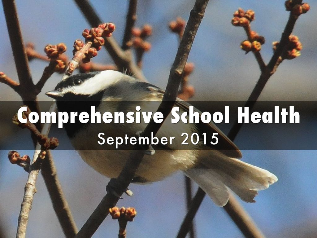 Copy of Comprehensive School Health 2015