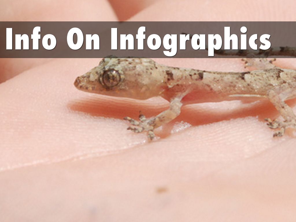 Info On Infographics