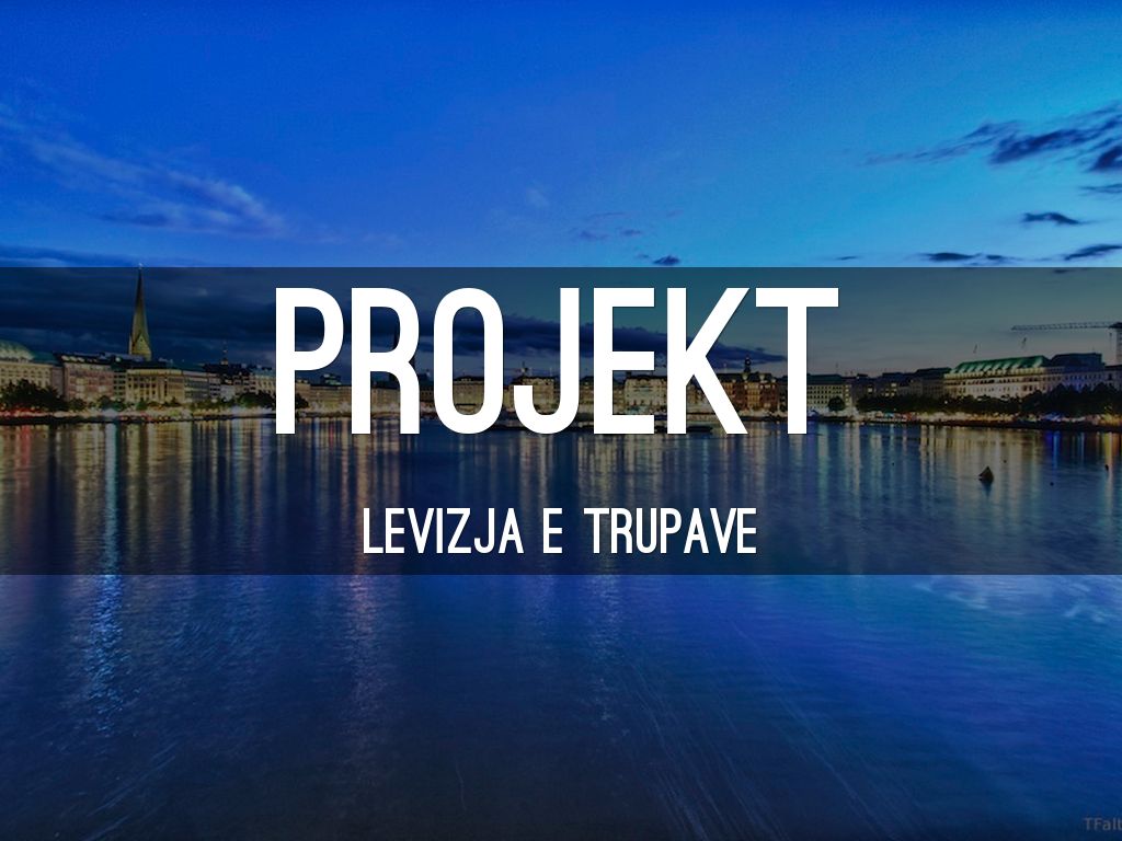 Projekt