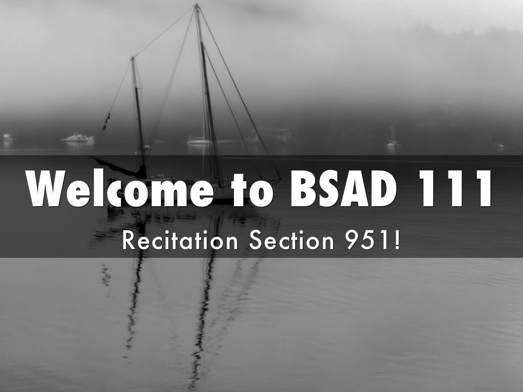 BSAD 111 Recitation WEEK 1 