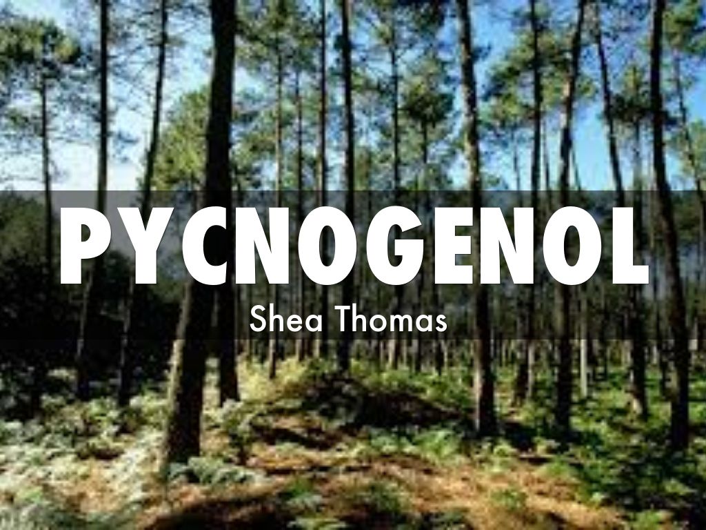 Pycnogenol