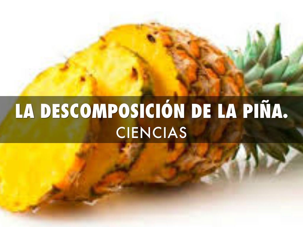 LA DESCOMPOSICIÓN DE LA PIÑA.