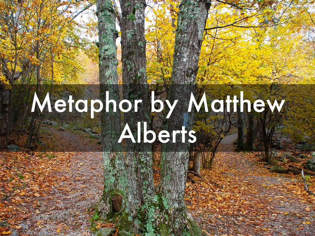 Metaphor by Matthew Alberts