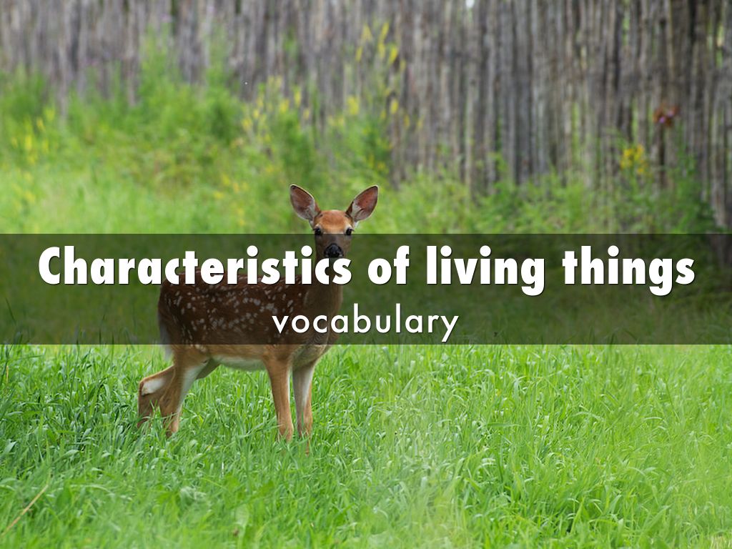 Characteristics of living things
