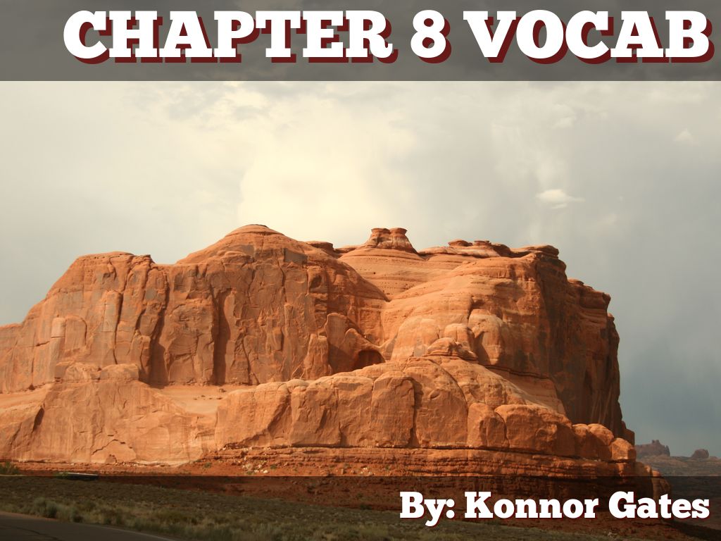 chapter 8 vocab