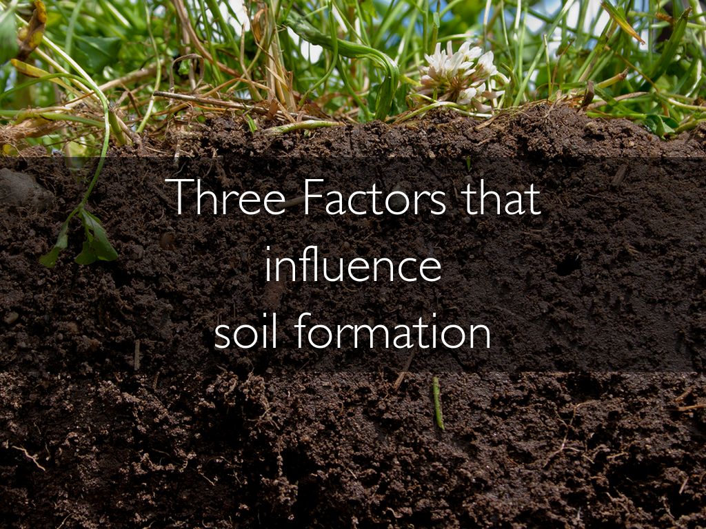 The living soil essay ideas picture