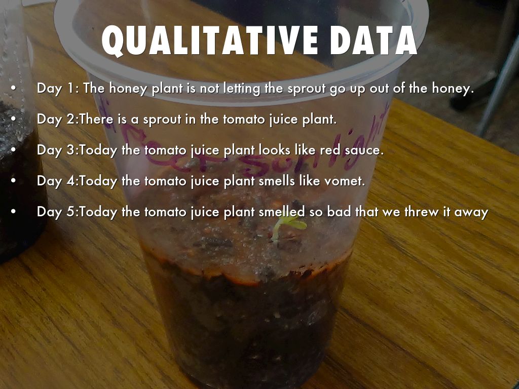 how do diffrent liquids affect plants growth? by