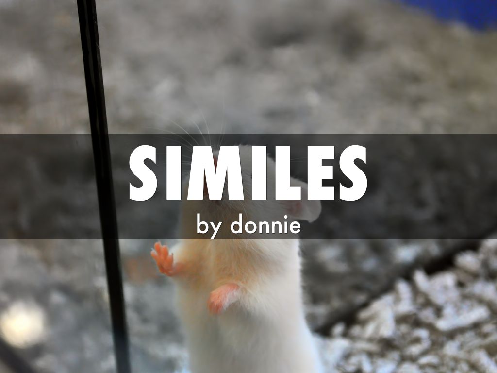 similes