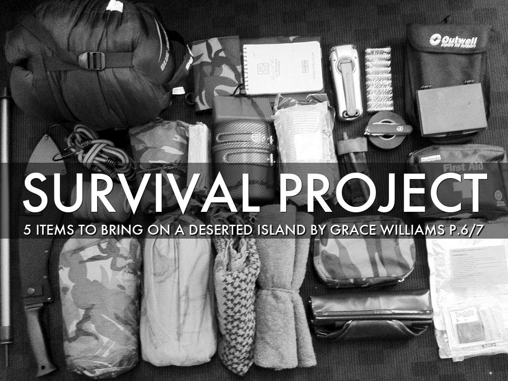 Survival Project 