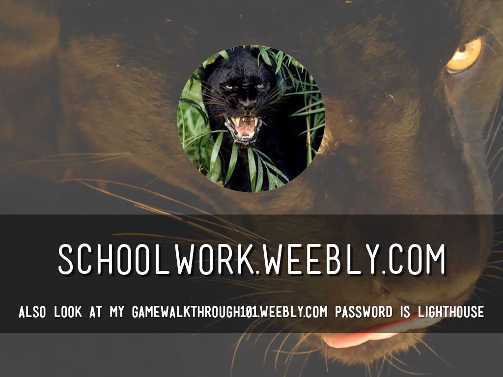 Schoolwork.weebly.com