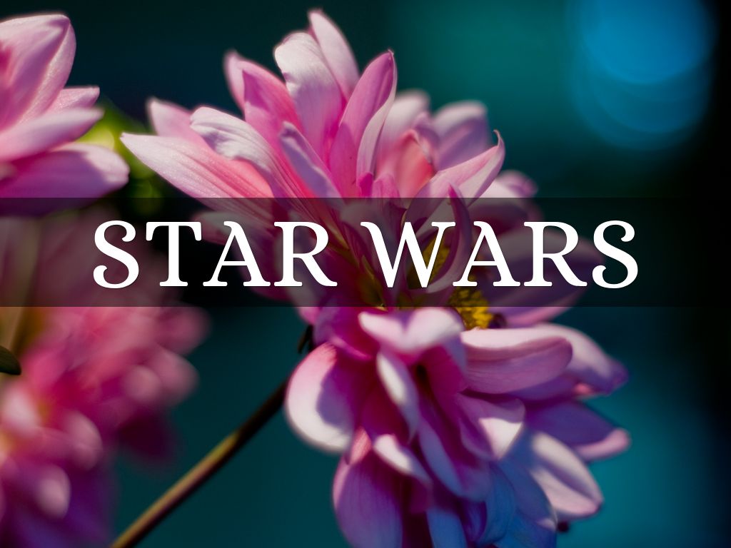 Star Wars