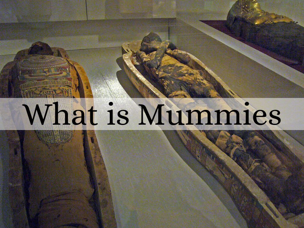 Copy of Mummies of Egypt by kmctamaney