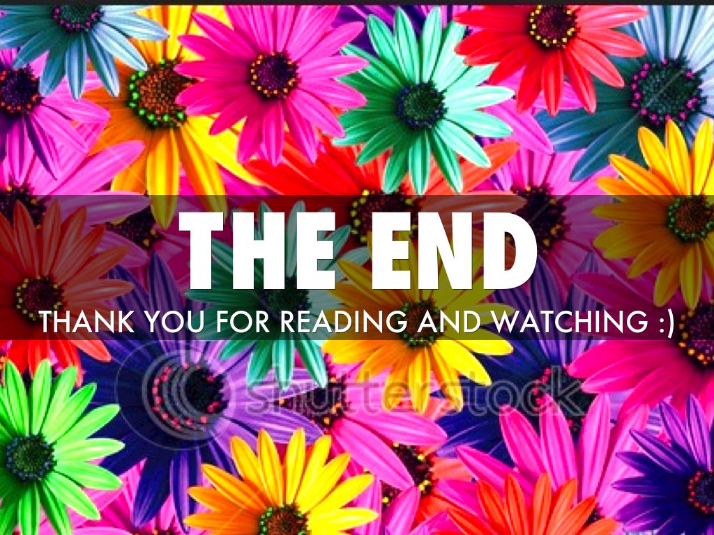 The Rainbow Daisy's by Mrs. Covarelli