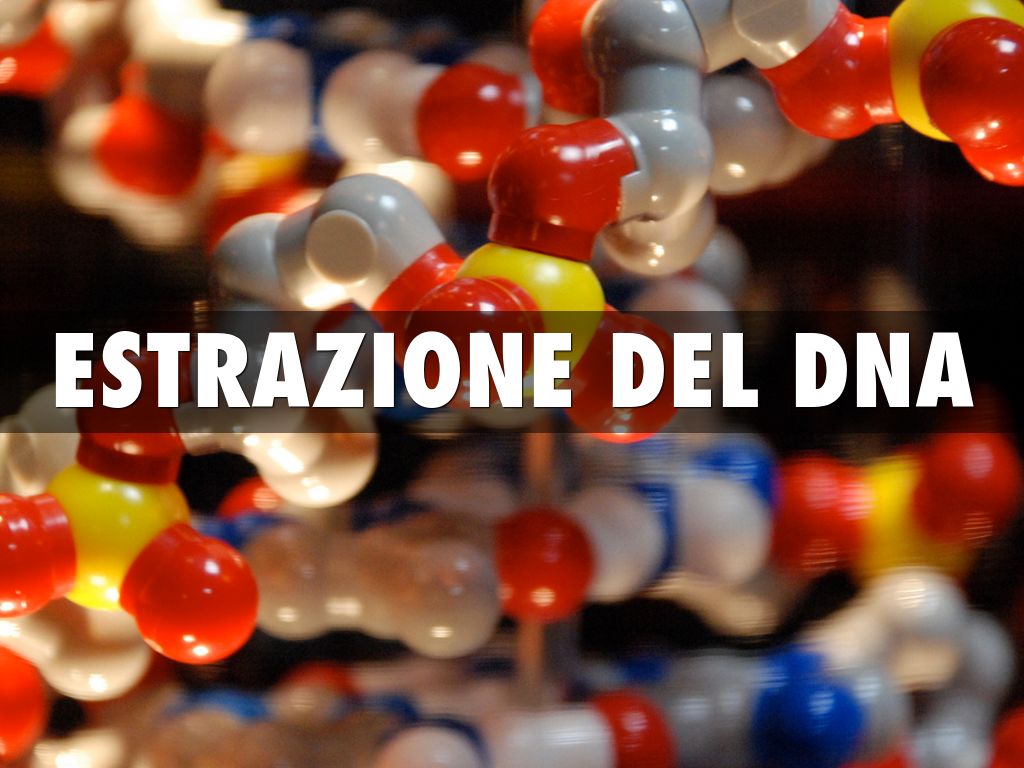 ESTRAZIONE DEL DNA