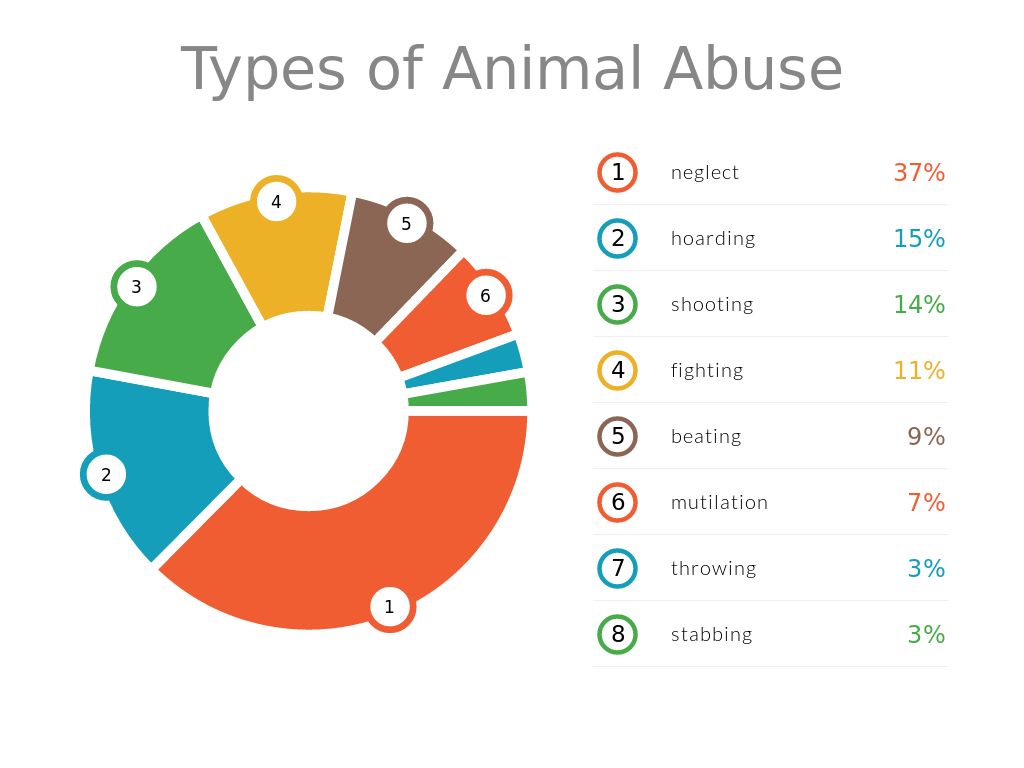 Top 166 + Different types of animal abuse - Lestwinsonline.com