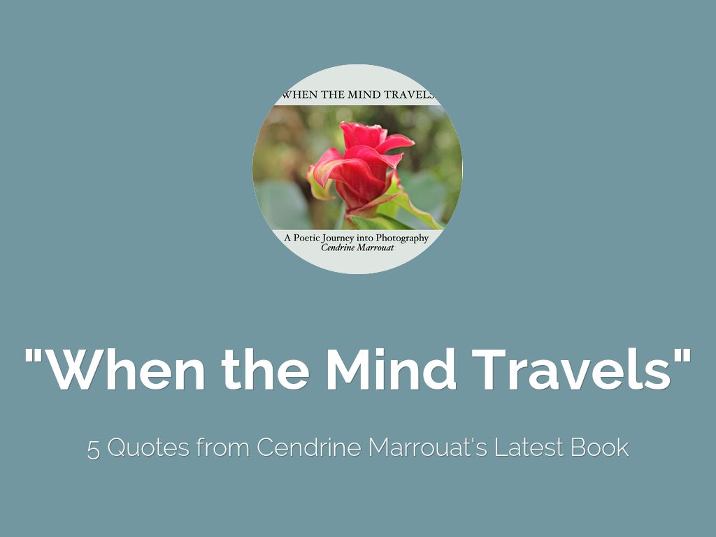 "When the Mind Travels"