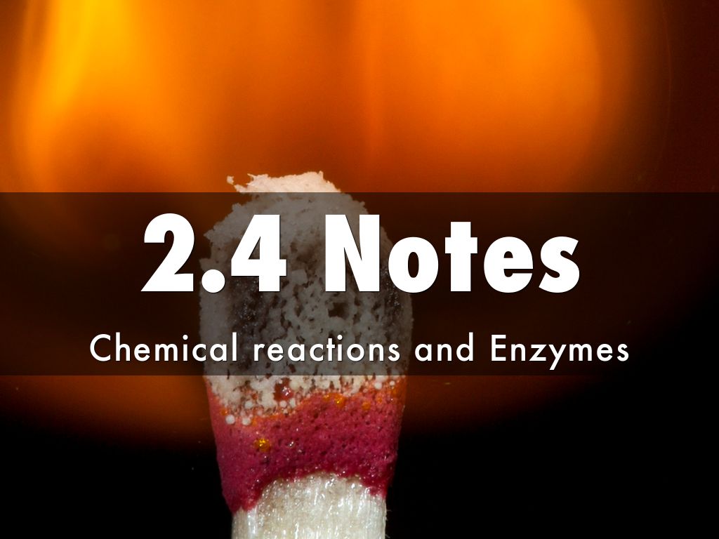 Copy of 2.4 Notes