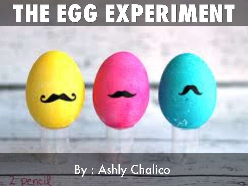 the egg experiment