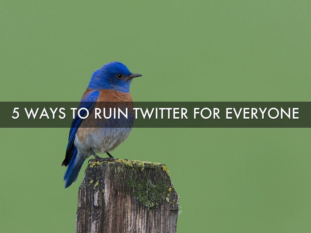 5 Ways To Ruin Twitter For Everyone