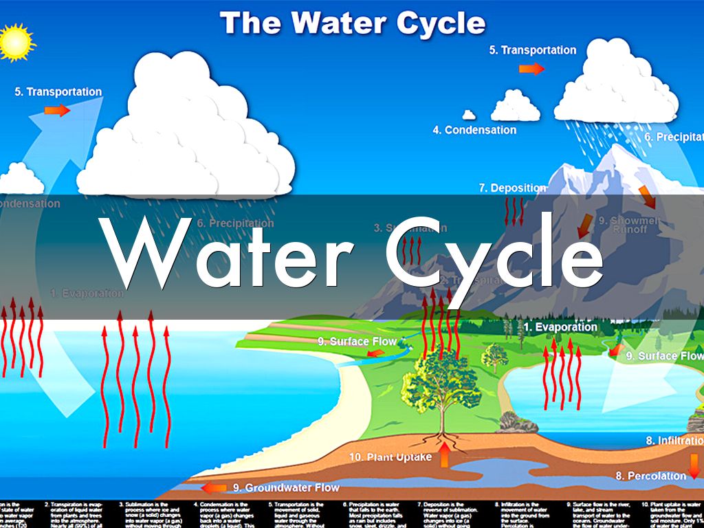 Water Cycle by Frank Garcia water phase diagram worksheet 