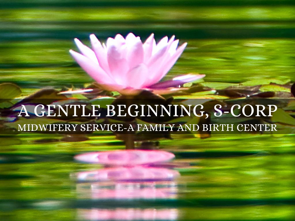 A Gentle Beginning, S-Corp