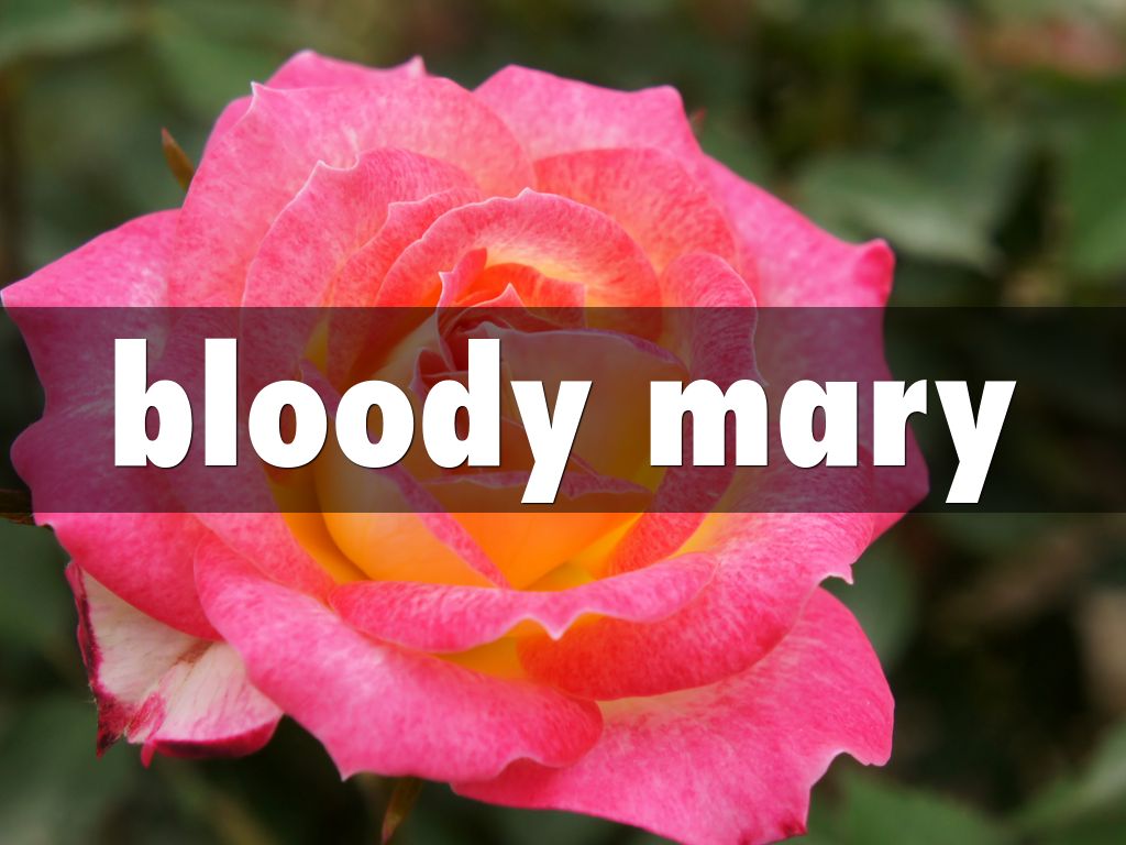 bloody mary