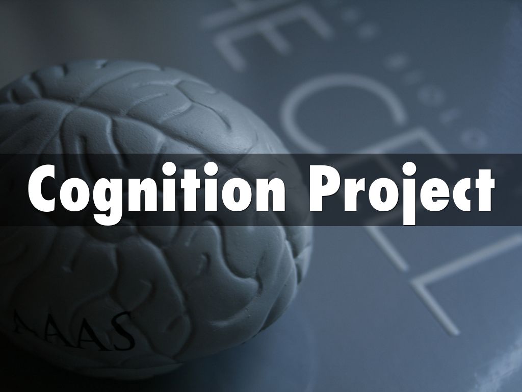 Cognition Project