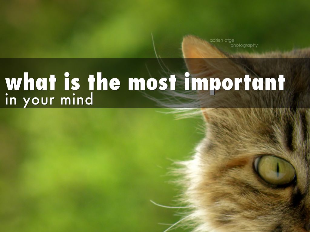 evacuation and escape in fire