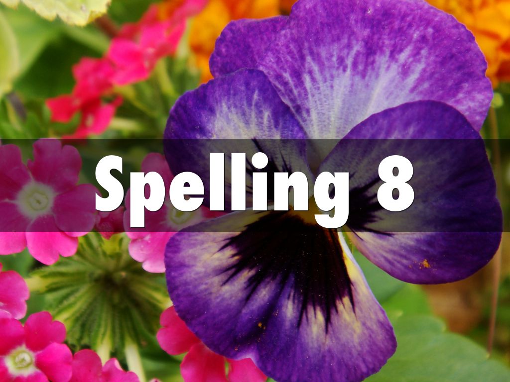 Spelling 8