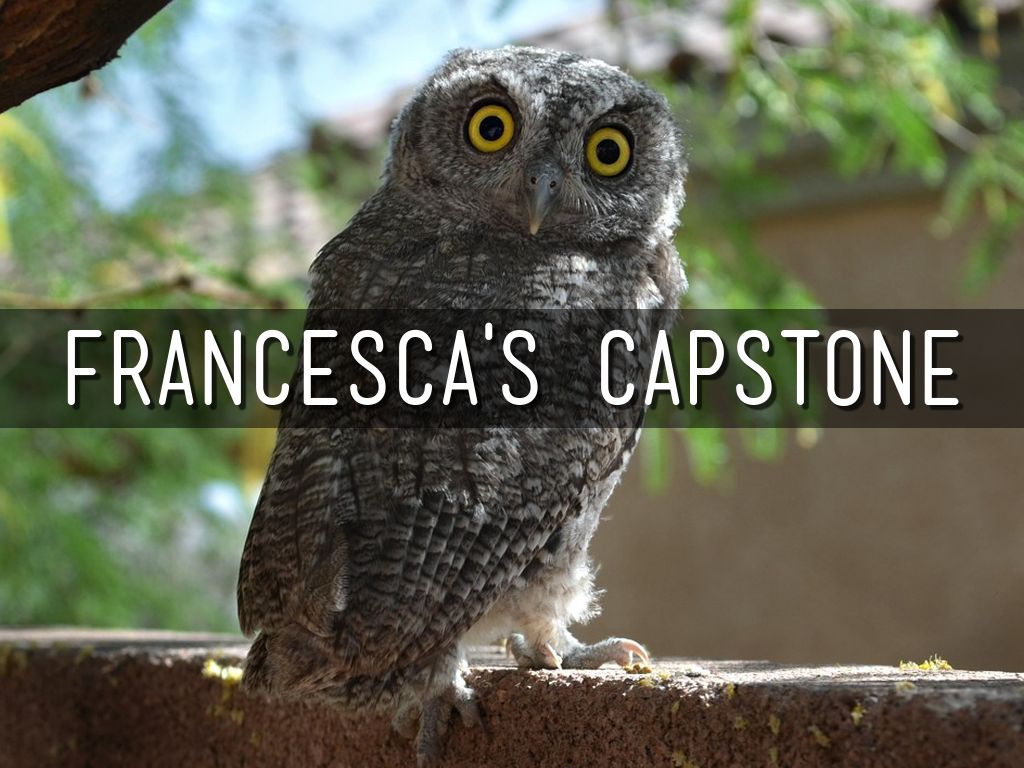 Francesca's Capstone