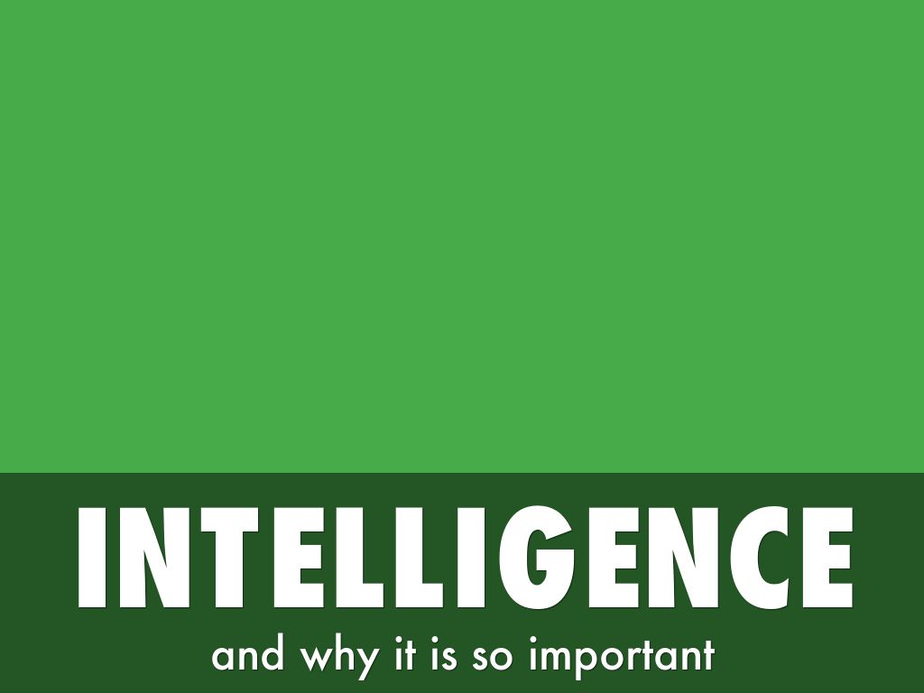 INTELLIGENCE