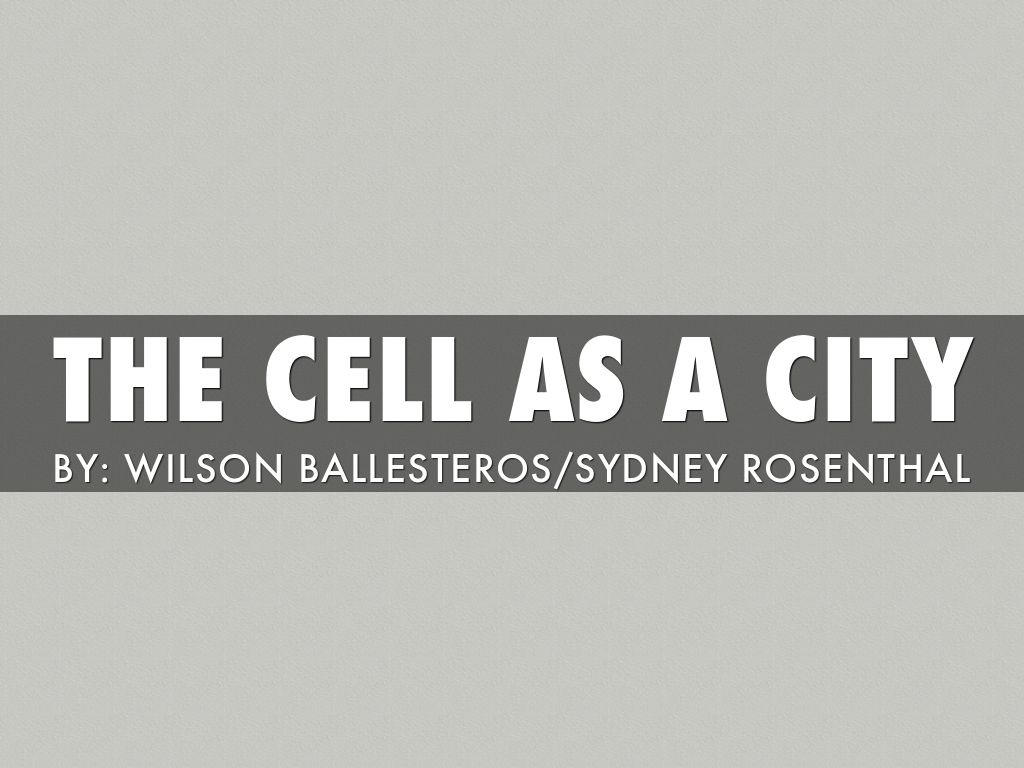 Ballesteros Rosenthal 5