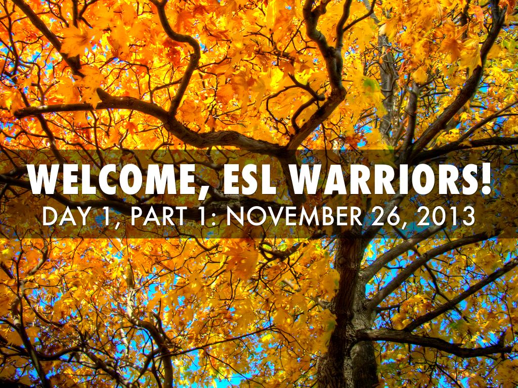 Welcome, ESL Warriors!