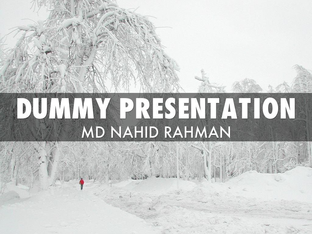 Dummy Presentation