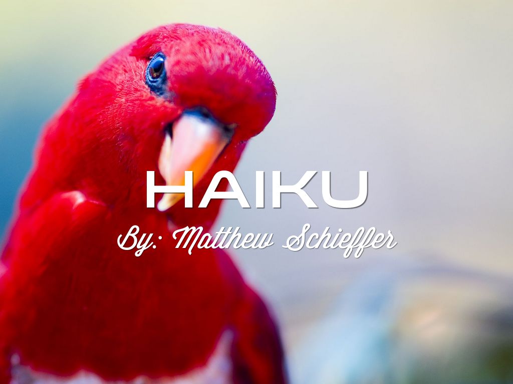Haiku