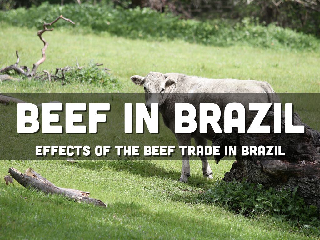 beef in brazil