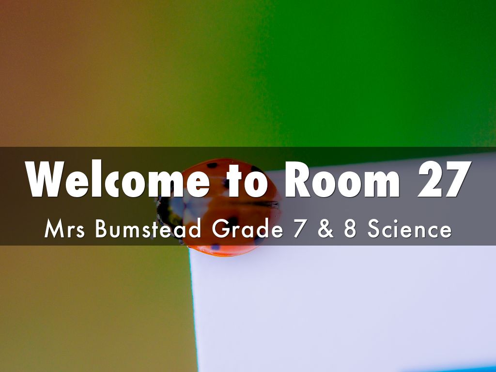 Meet the Teacher 2014