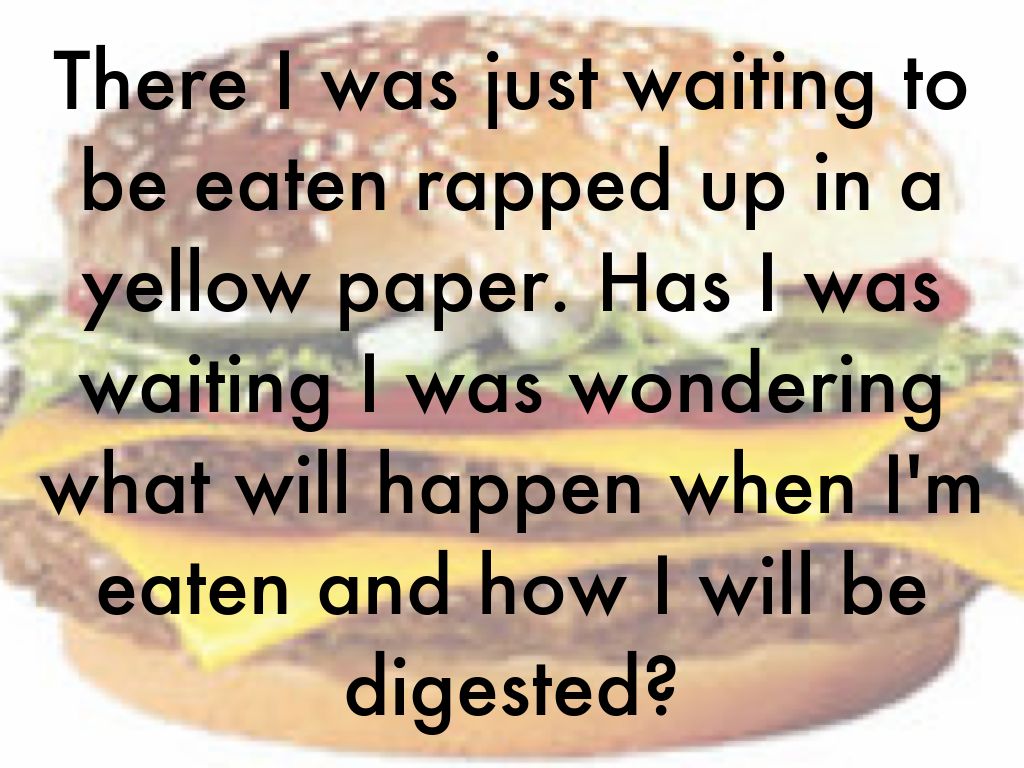 The Digestive System 