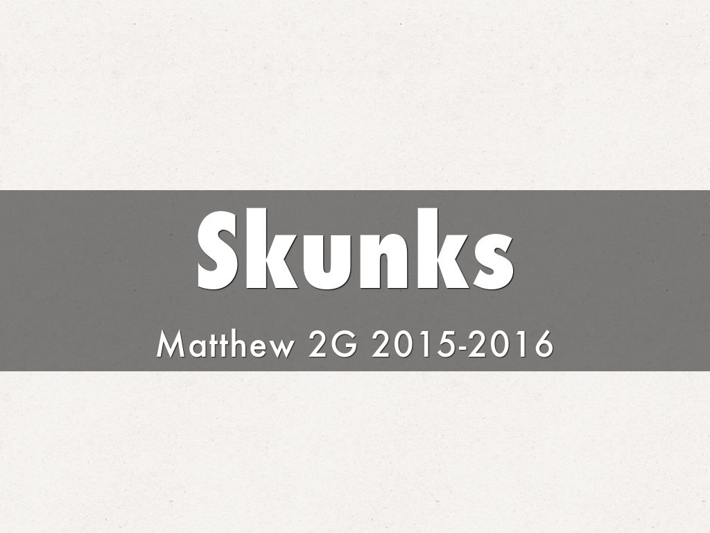 Skunks