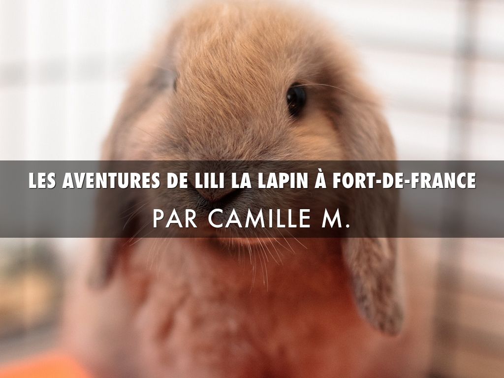 Les Aventures De Bruno Le Lapin