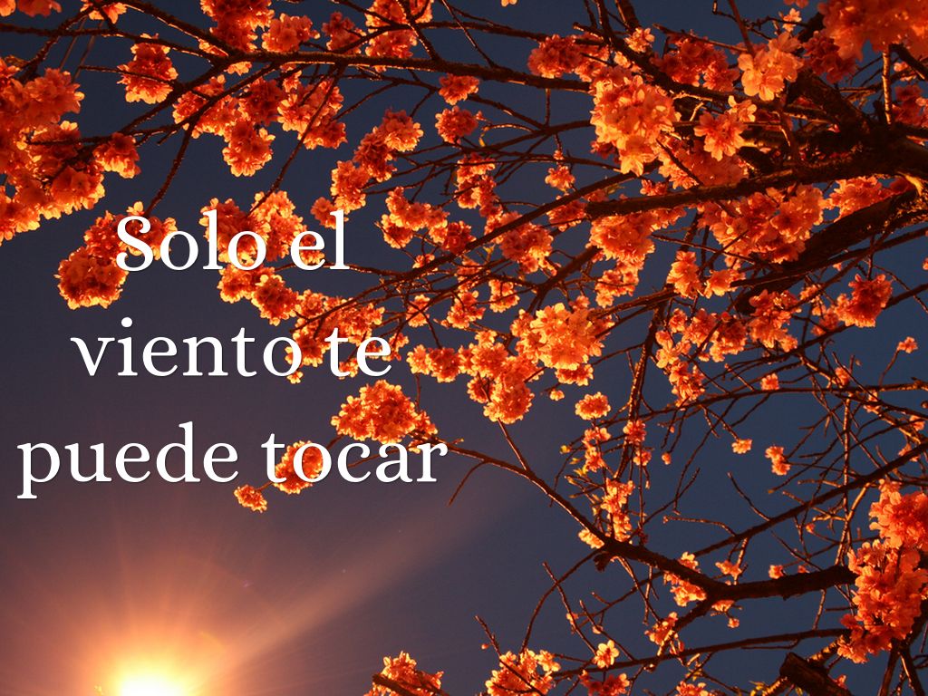 Haiku Deck en acción