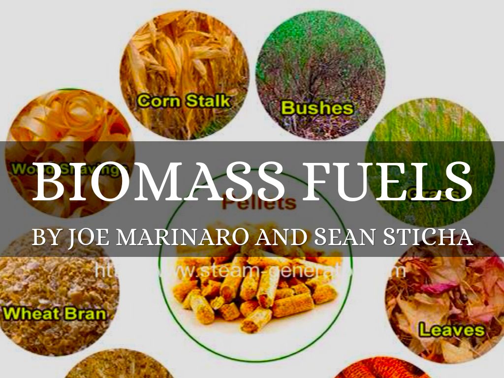 BIOMASS FUELS by Joe Marinaro