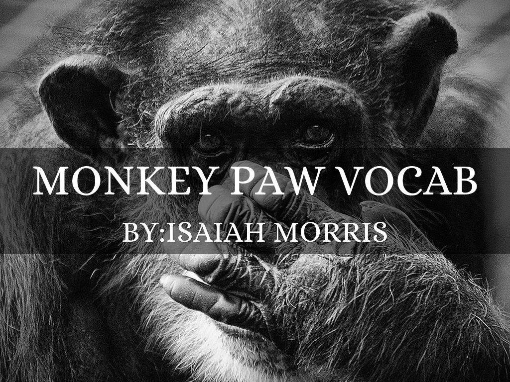 Monkey Paw Vocab