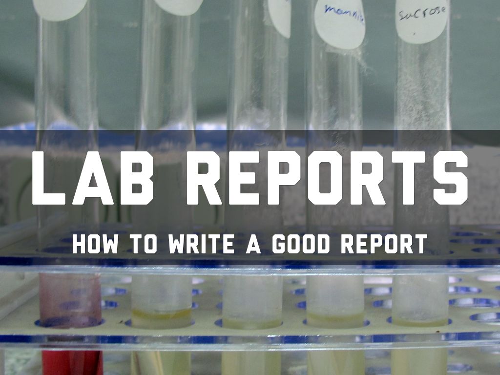 Lab Reports