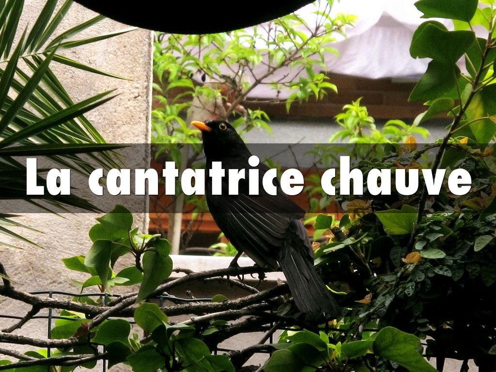 La cantatrice chauve